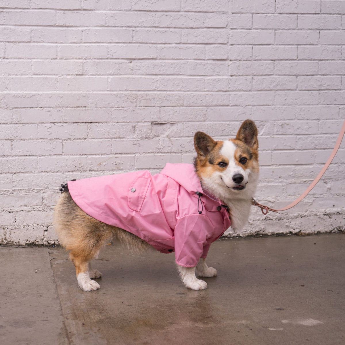 Light Pink Raincoat