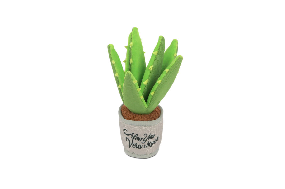 Blooming Buddies - Aloe-ve You Plant