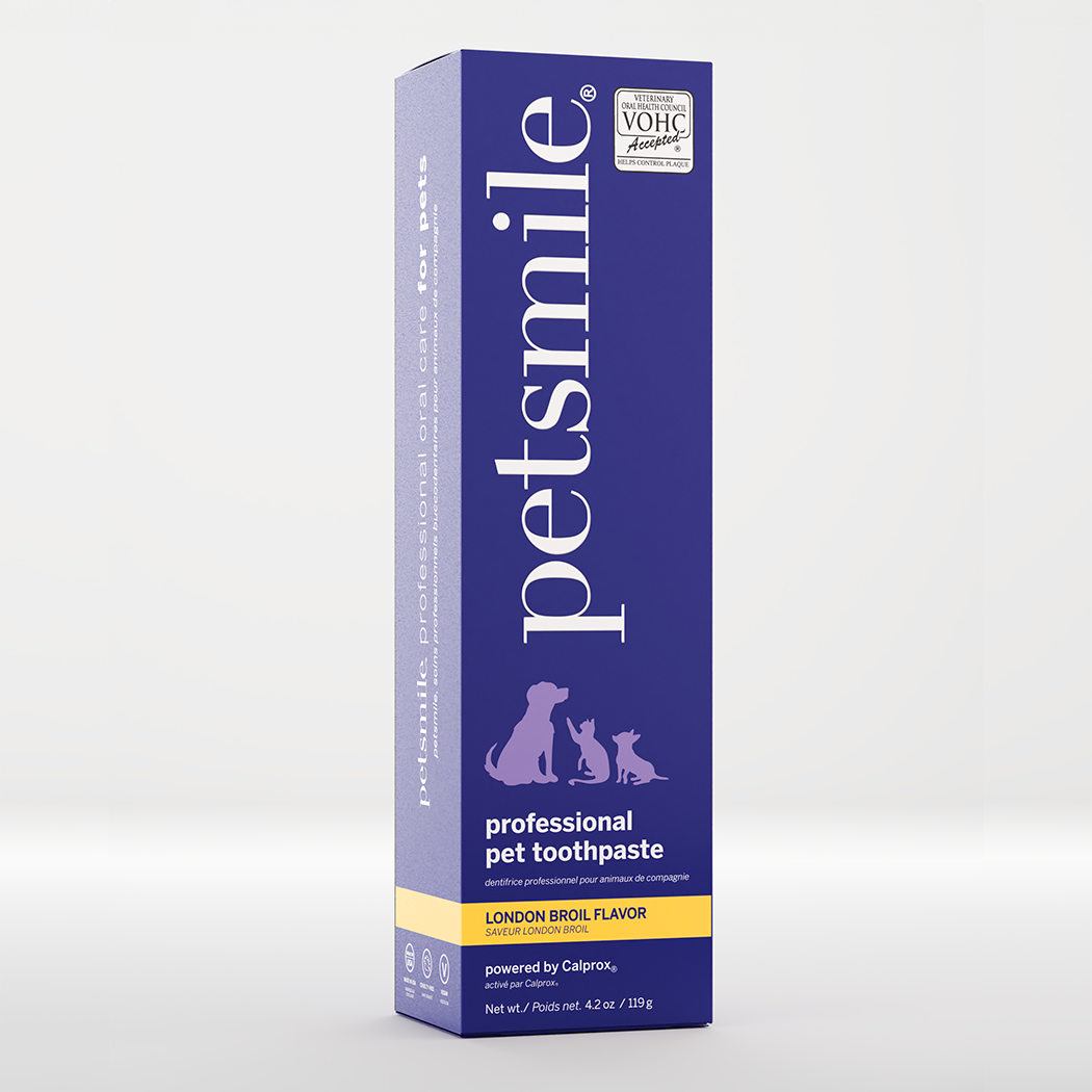 Petsmile Professional Pet Toothpaste - London Broil: Large