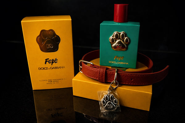 DOLCE & GABBANA Fepé 100ml　犬用※首輪は付属しません 1C4737D1-9F9D-487D-A848-