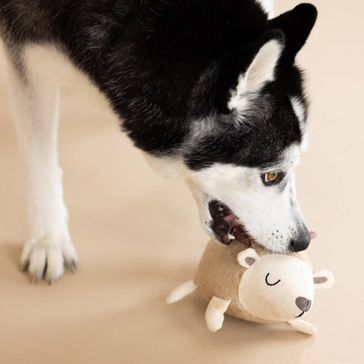 EARTH FRIENDLY DOG TOY HEDGY