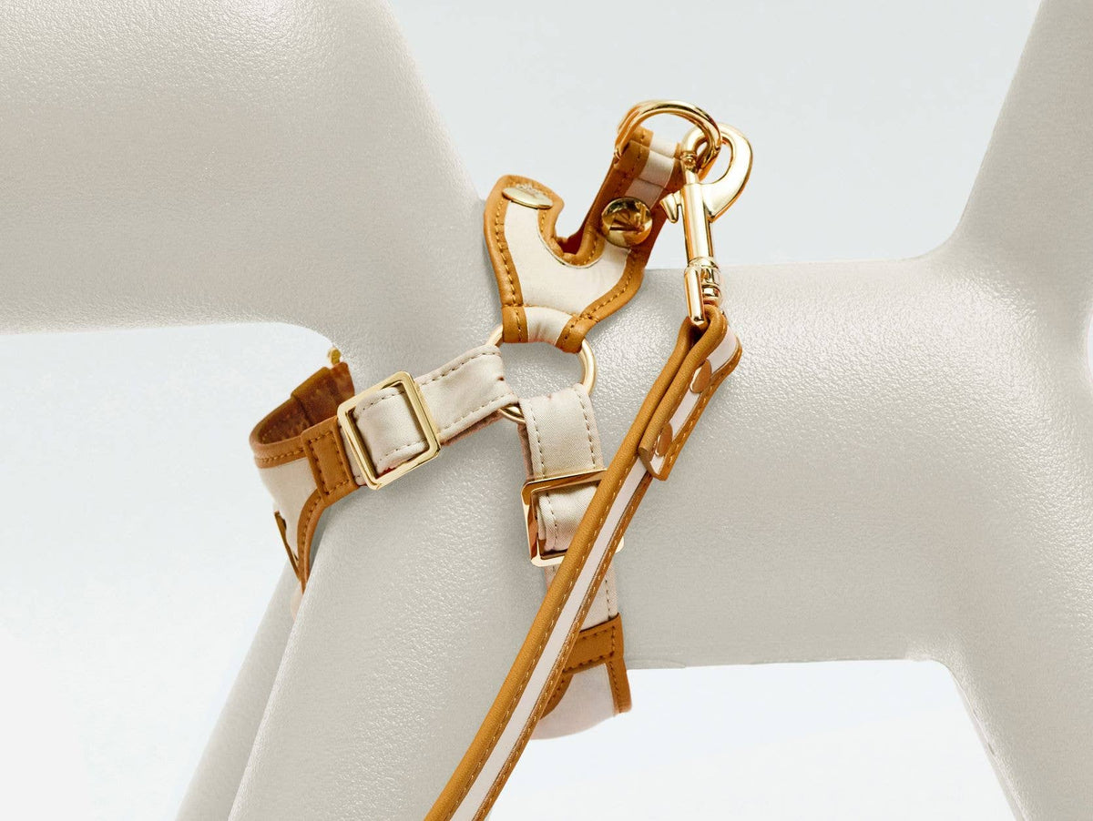 Denim Victorian 88 & Gold Harness: 4