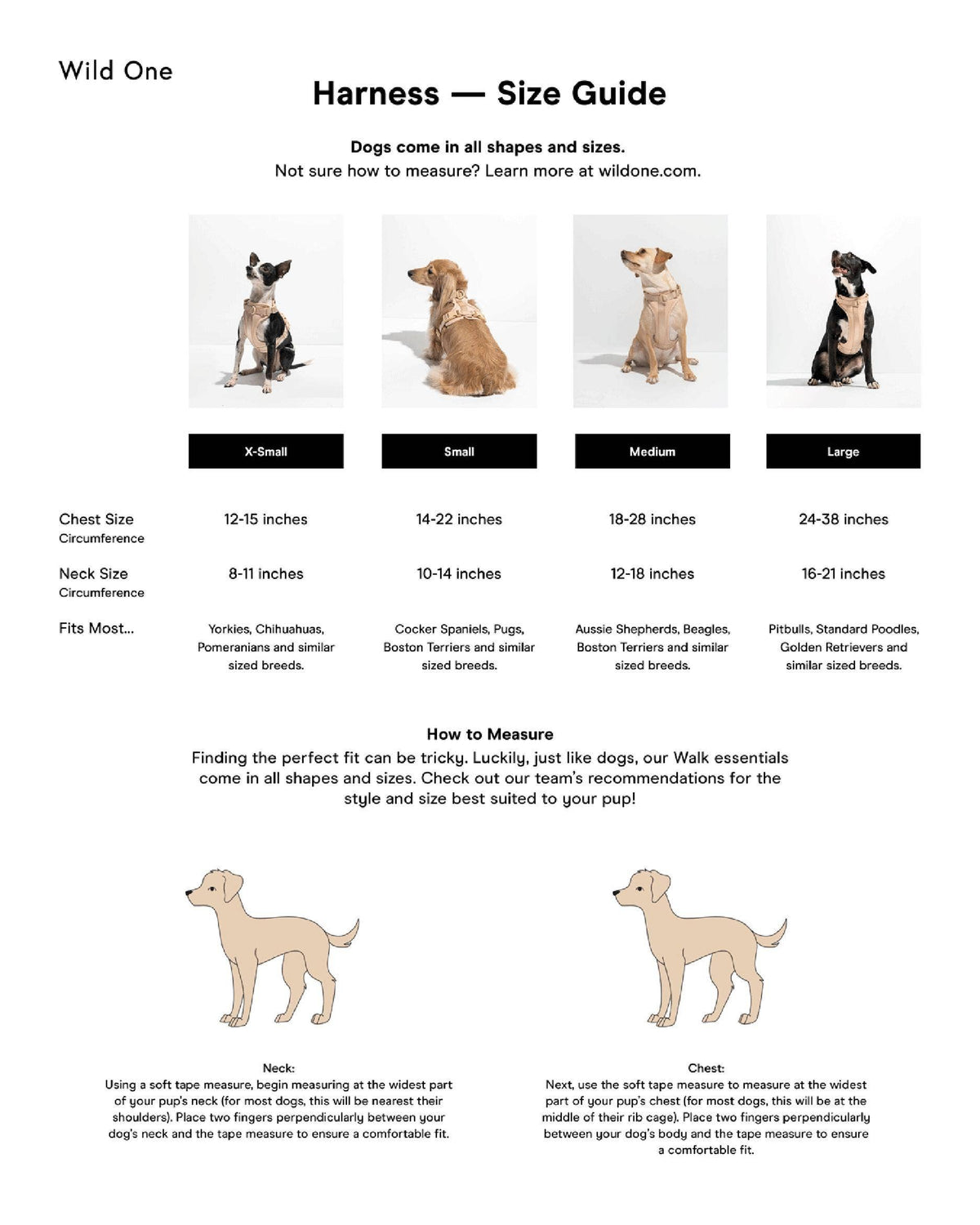 Adjustable Comfort Dog Harness: Spruce / MEDIUM