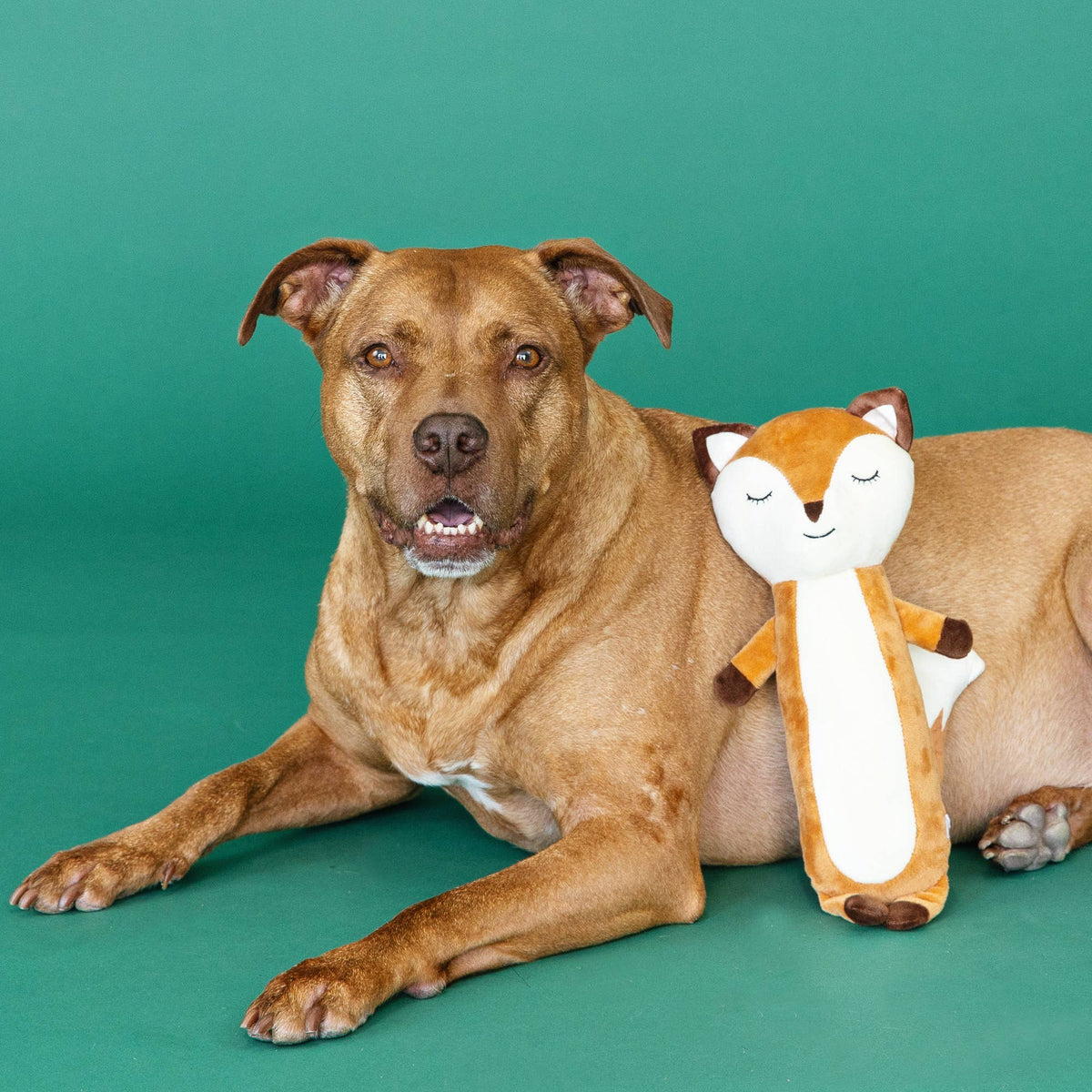 For Fox Sake Plush Dog Toy
