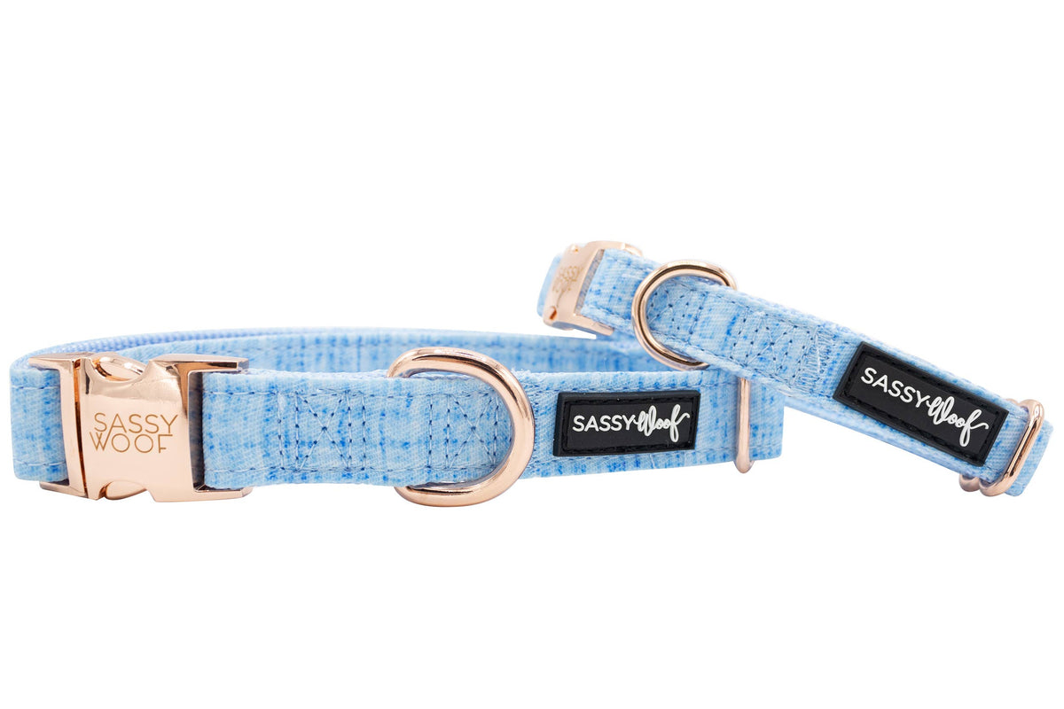 Dog Collar - Blumond (Solids): S