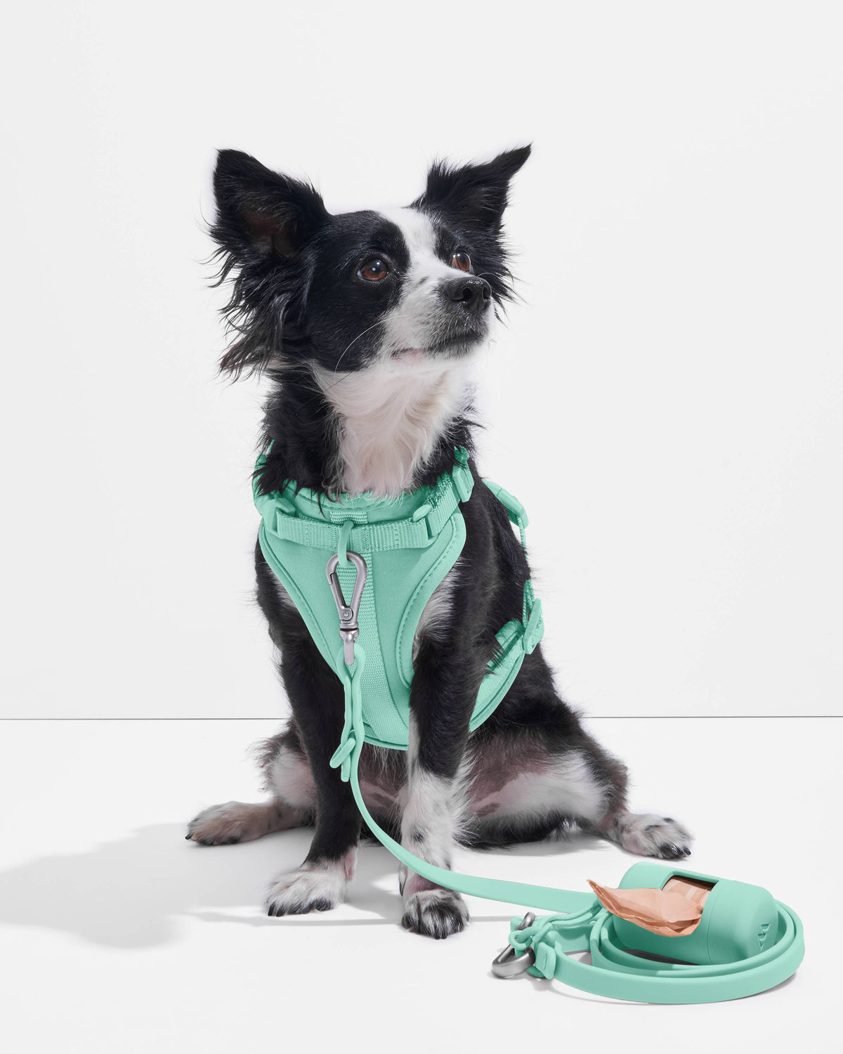 Dog Harness - SEAFOAM! NEW COLOR!: Seafoam / LARGE