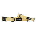 Dog Collar - Daffodil: Medium