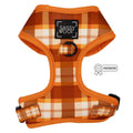 Dog Adjustable Harness - Spiced Harvest : XXSmall