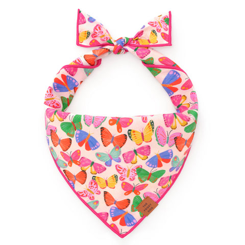 Bright Butterflies Summer Dog Bandana: Large