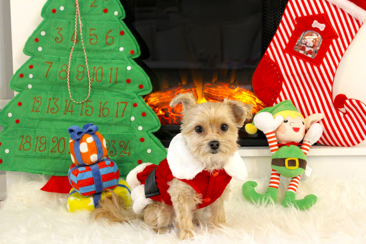 Mrs. Claus Dress – Festive Christmas Dog Outfit for Pets: S