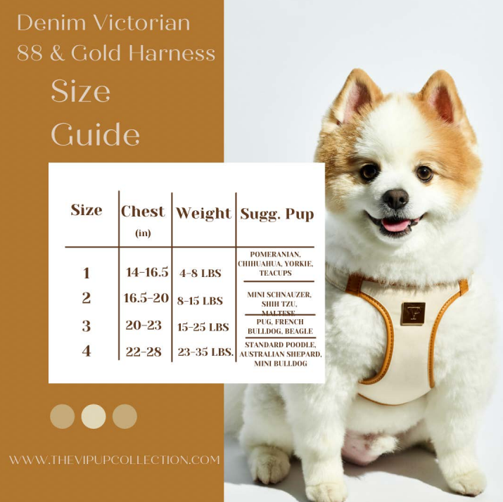Denim Victorian 88 & Gold Harness: 4