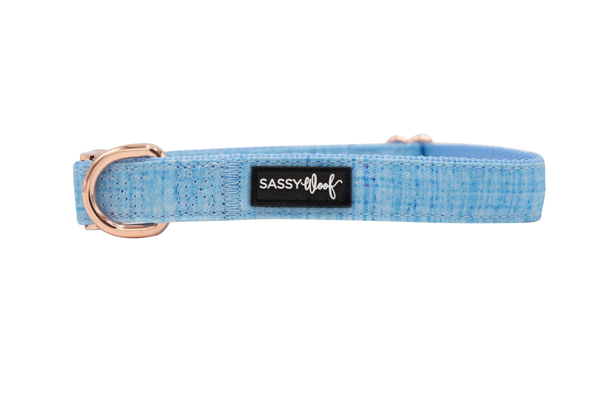 Dog Collar - Blumond (Solids): S