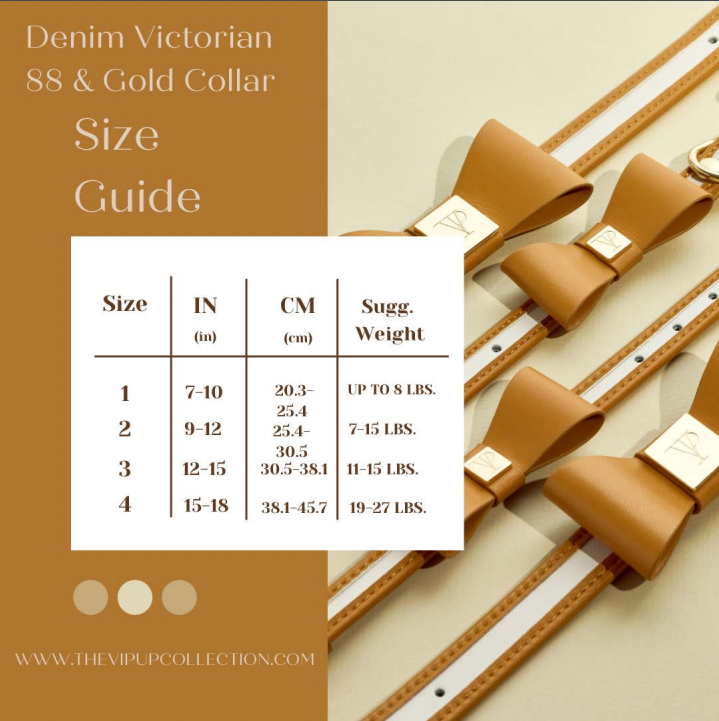 Denim Victorian 88 & Gold Collar: 3