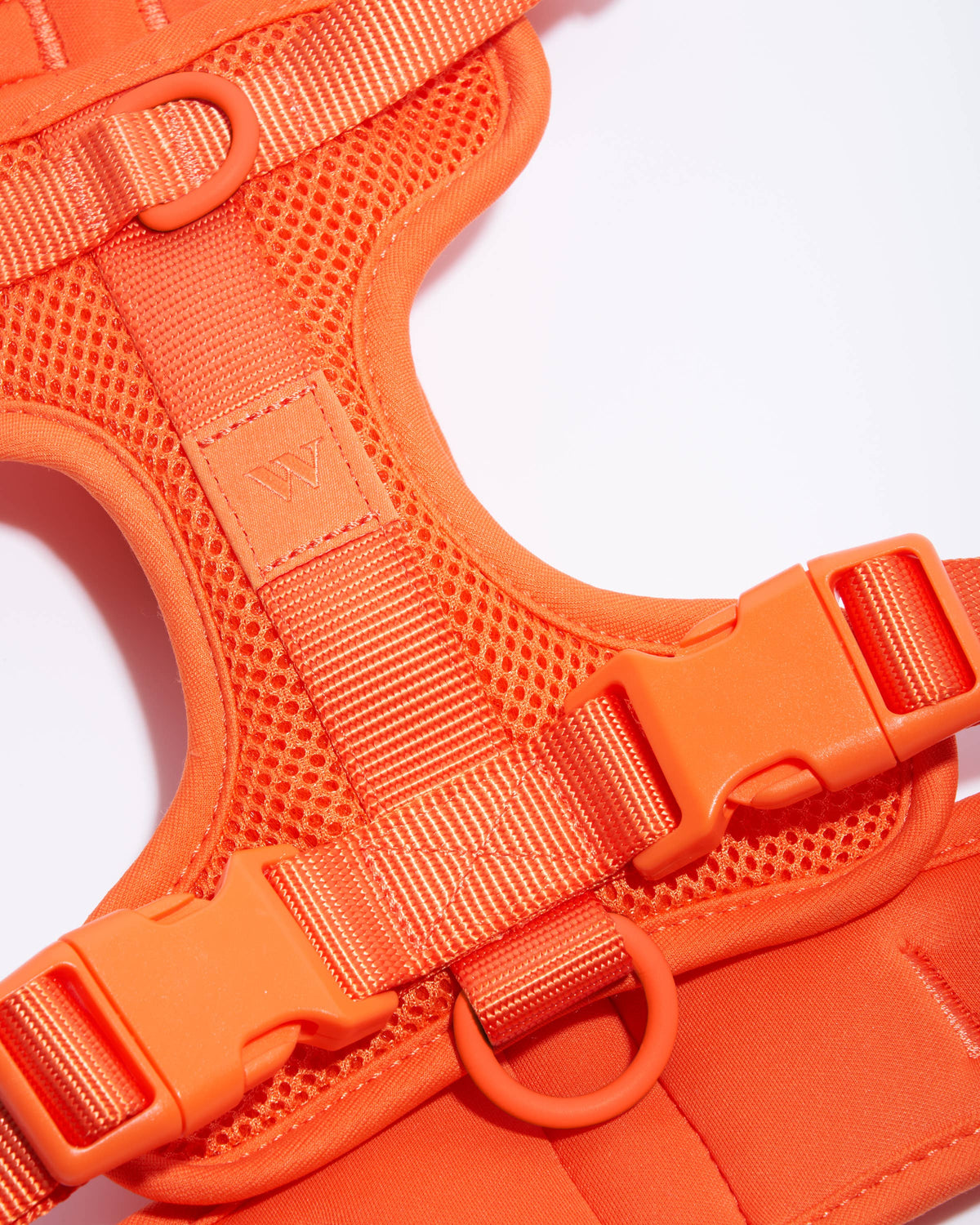 Adjustable Comfort Dog Harness: Spruce / MEDIUM