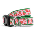 Strawberries Collar: Pink / Medium