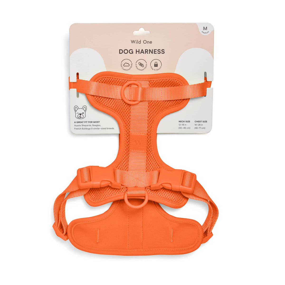 Adjustable Comfort Dog Harness: Moss / SMALL