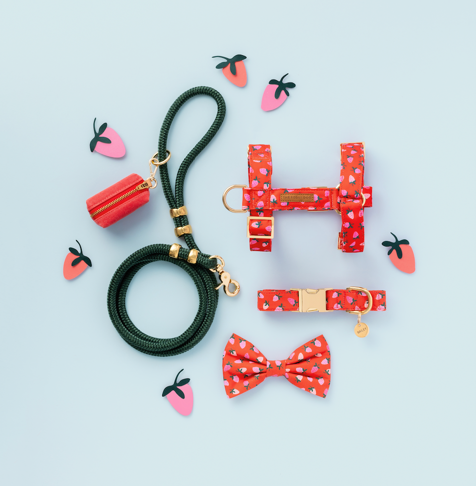 Berry Sweet Dog Collar: S / Gold