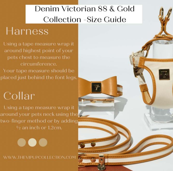 Denim Victorian 88 & Gold Collar: 1