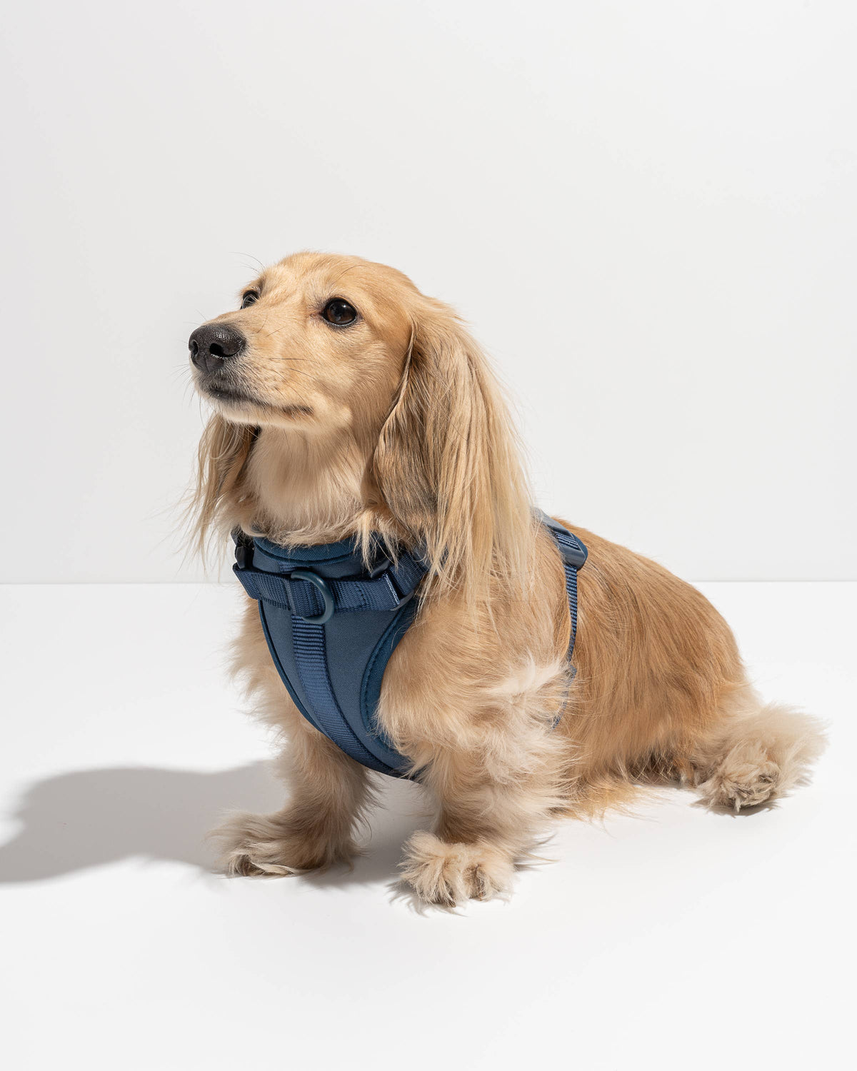 Adjustable Comfort Dog Harness: Moss / SMALL