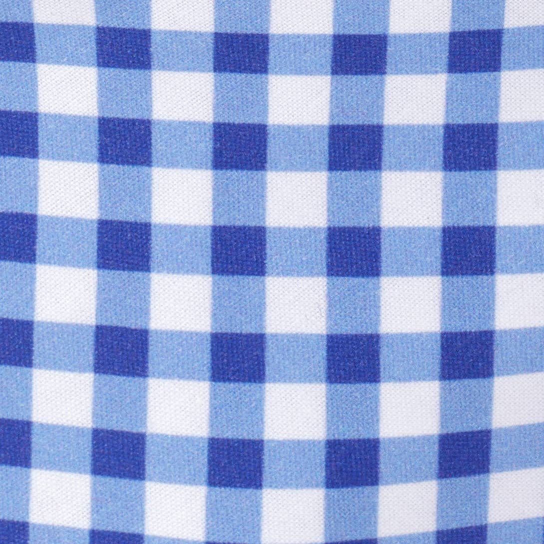 Blue Gingham Dog Bandana: Small