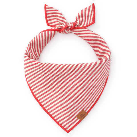 Red Stripe Holiday Dog Bandana: Small