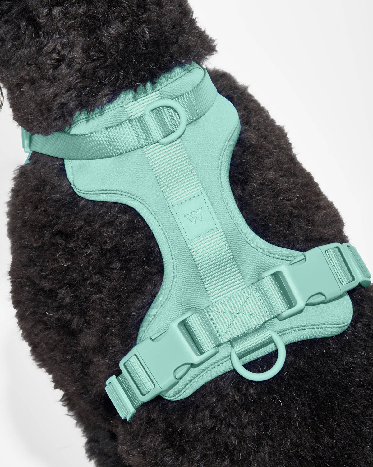 Dog Harness - SEAFOAM! NEW COLOR!: Seafoam / X-SMALL