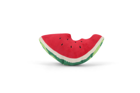 Tropical Paradise_Wagging Watermelon
