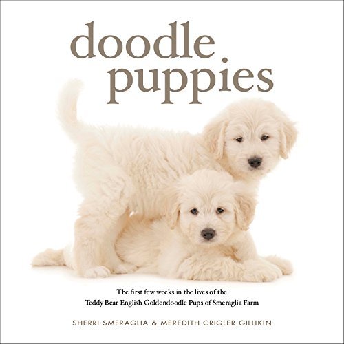 Doodle Puppies Coffee Table Book