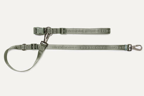 Go With Ease! Hands Free Leash-Sage