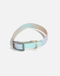 Dog Collar - Holographic Lunar NEW!: MEDIUM / Holographic Lunar