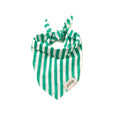 Cabana Kelly Green - Bandana