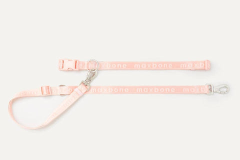 Go With Ease! Hands Free Leash-Peach