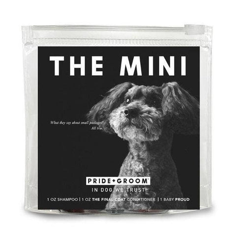 THE MINI