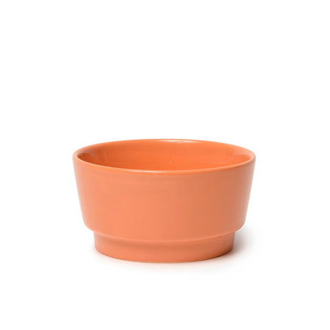 Gloss Ceramic Dog Bowl