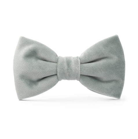 Sage Velvet Fall Dog Bow Tie-SMALL