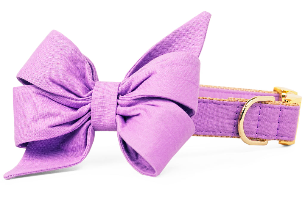 Wisteria Purple Belle Bow Dog Collar